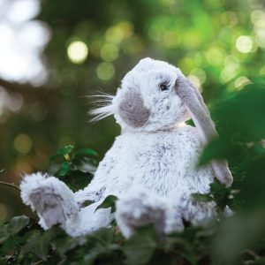 Alternative view of Rosie Rabbit Cuddly Toy