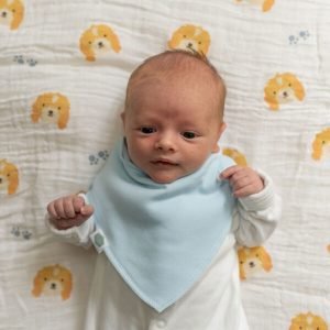 Alternative view of Driftwood Waves Dribble Bib Set