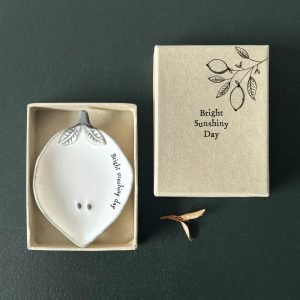 Boxed Lemon Dish